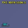 TYC 9079-1106-1