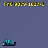 TYC 9079-1827-1