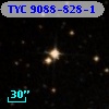 TYC 9088-828-1