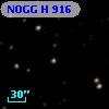 NOGG H  916