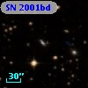 SN 2001bd