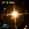 V* Z Pav