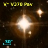 V* V378 Pav