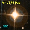 V* V376 Pav