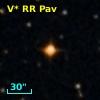 V* RR Pav