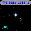 TYC 9091-1013-1