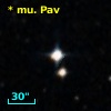 V* MU Pav