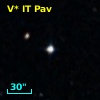 V* IT Pav