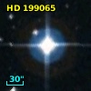 HD 199065