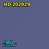 HD 202829