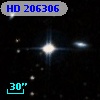 HD 206306