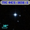 TYC 4421-1656-1