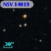 NSV 14019