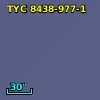 TYC 8438-977-1