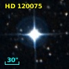 HD 120075