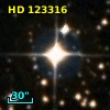 HD 123316