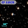 CF 11828