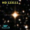 HD 123111