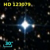 HD 123079