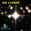 HD 123909