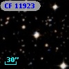 CF 11923