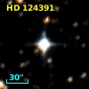 HD 124391