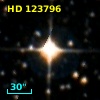 HD 123796
