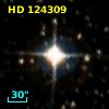 HD 124309