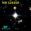 HD 124310