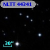 NLTT 44341