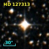 HD 127313