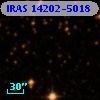 IRAS 14202-5018