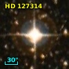 HD 127314