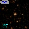 TYC 8291-1446-1