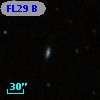 FL29 B