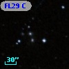 FL29 C