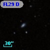 FL29 D