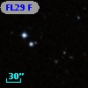 FL29 F
