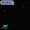 FL29 G