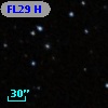 FL29 H