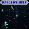 IRAS 15169-5559