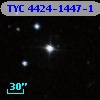 TYC 4424-1447-1