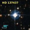 HD 137437