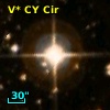 V* CY Cir