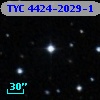 TYC 4424-2029-1