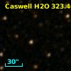 Caswell H2O 323.46-00.09
