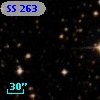 SS 263