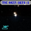 TYC 4427-1671-1
