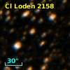 Cl Loden 2158