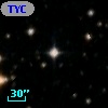 TYC 8703-1113-1